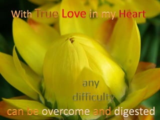 A loving heart 9