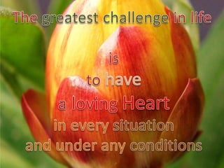 A loving heart 9