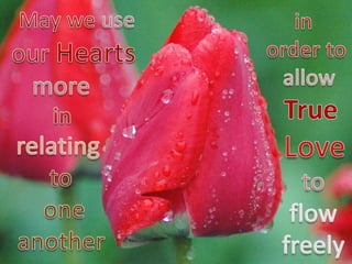 A loving heart 9