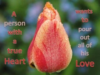 A loving heart 9