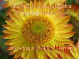 A loving heart 9