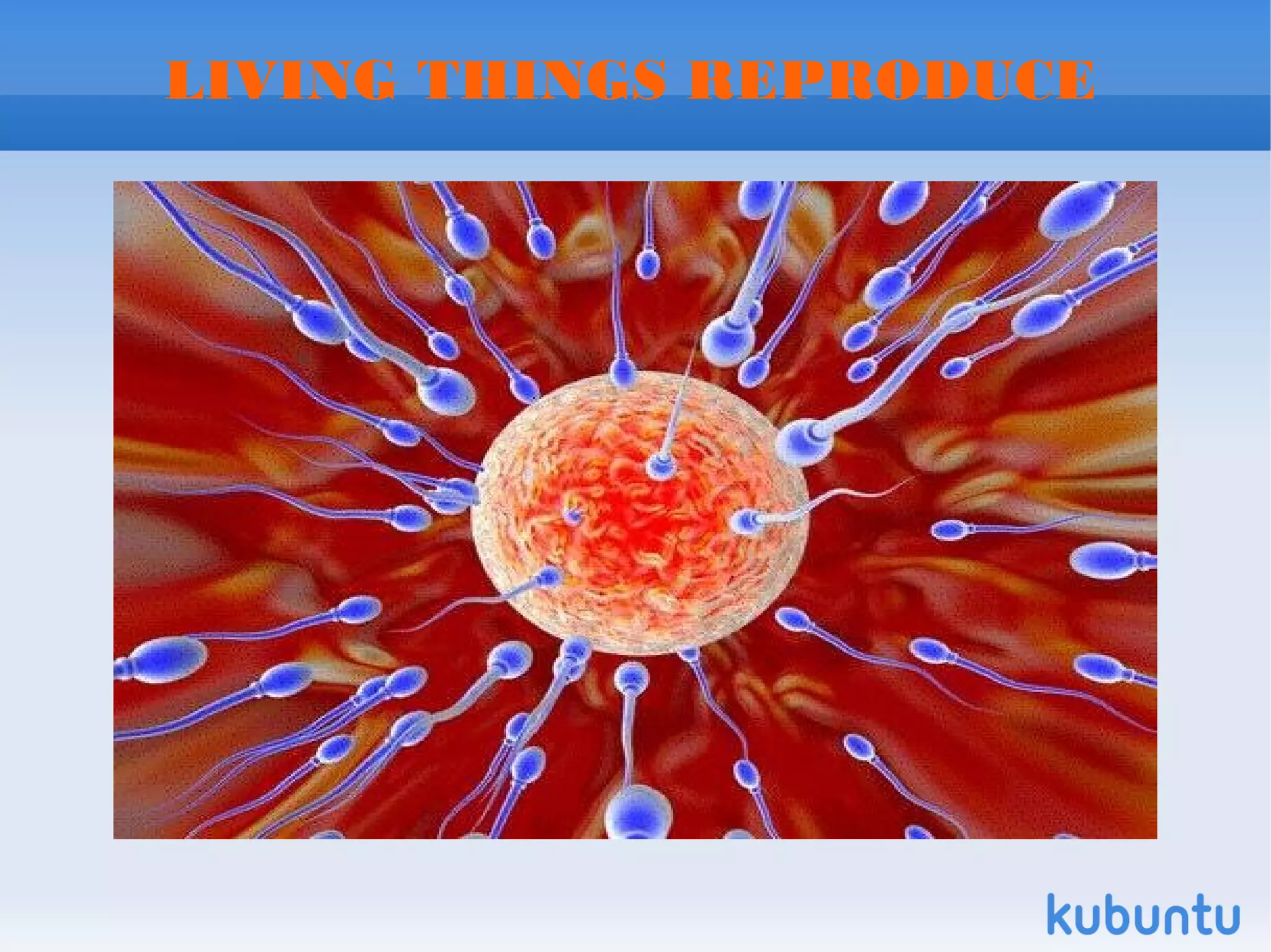 LIVING THINGS REPRODUCE