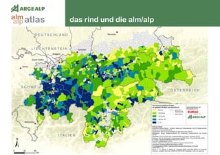 108
das rind und die alm/alpatlasalm
alp
 