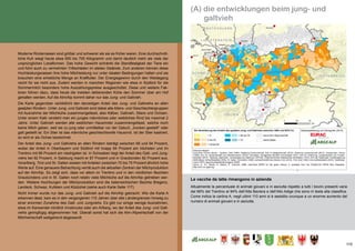 115
(A) die entwicklungen beim jung- und
galtvieh
Moderne Rinderrassen sind größer und schwerer als sie es früher waren. Eine durchschnitt-
liche Kuh wiegt heute etwa 650 bis 700 Kilogramm und damit deutlich mehr als viele der
ursprünglichen Lokalformen. Das hohe Gewicht schränkt die Standfestigkeit der Tiere ein
und führt auch zu vermehrten Trittschäden im steilen Gelände. Zum anderen können diese
Hochleistungsrassen ihre hohe Milchleistung nur unter idealen Bedingungen halten und sie
brauchen eine erhebliche Menge an Kraftfutter. Der Energiegewinn durch den Weidegang
reicht für sie nicht aus. Zudem werden in manchen Regionen wie etwa in Südtirol für die
Sommermilch besonders hohe Auszahlungspreise ausgeschüttet. Diese und weitere Fak-
toren führen dazu, dass heute die meisten laktierenden Kühe den Sommer über am Hof
gehalten werden. Auf die Alm/Alp kommt daher nur das Jung- und Galtvieh.
Die Karte gegenüber verbildlicht den derzeitigen Anteil des Jung- und Galtviehs an allen
gealpten Rindern. Unter Jung- und Galtvieh sind dabei alle Alters- und Geschlechtergruppen
mit Ausnahme der Milchkühe zusammengefasst, also Kälber, Galtvieh, Stiere und Ochsen.
Unter einem Kalb versteht man ein junges männliches oder weibliches Rind bis maximal 2
Jahre. Unter Galtvieh werden alle weiblichen Hausrinder zusammengefasst, welche noch
keine Milch geben, weil sie zu jung oder unmittelbar vor der Geburt, „trocken gestellt“ oder
galt gestellt ist. Ein Stier ist das männliche geschlechtsreife Hausrind. Ist der Stier kastriert,
so wird er als Ochse bezeichnet.
Der Anteil des Jung- und Galtviehs an allen Rindern beträgt zwischen 66 und 94 Prozent,
wobei der Anteil in Oberbayern und Südtirol mit knapp 94 Prozent am höchsten und im
Trentino mit 66 Prozent am niedrigsten ist. In Schwaben liegt der Anteil des Galt- und Jung-
viehs bei 92 Prozent, in Salzburg macht er 87 Prozent und in Graubünden 82 Prozent aus.
Vorarlberg, Tirol und St. Gallen weisen mit Anteilen zwischen 70 bis 75 Prozent ähnlich hohe
Werte auf. Eine genauere Betrachtung verrät auch die aktuellen Zentren der Milchproduktion
auf der Alm/Alp. So zeigt sich, dass vor allem im Trentino und in den nördlichen Bezirken
Graubündens und in St. Gallen noch relativ viele Milchkühe auf die Alm/Alp getrieben wer-
den. Weitere Hochburgen der Milchproduktion sind die österreichischen Bezirke Bregenz,
Landeck, Schwaz, Kufstein und Kitzbühel (siehe auch Karte Seite 117).
Nicht immer wurde nur das Jung- und Galtvieh auf die Alm/Alp gebracht. Wie die Karte A
erkennen lässt, kam es in den vergangenen 110 Jahren über alle Ländergrenzen hinweg zu
einer enormen Zunahme des Galt- und Jungviehs. Es gibt nur einige wenige Ausnahmen,
etwa im Karwendel nördlich Innsbrucks oder am Arlberg, wo der Anteil des Jung- und Galt-
viehs geringfügig abgenommen hat. Überall sonst hat sich die Alm-/Alpwirtschaft von der
Milchwirtschaft weitgehend abgewandt.
Le vacche da latte rimangono in azienda
Attualmente la percentuale di animali giovani e in asciutta rispetto a tutti i bovini presenti varia
dal 66% del Trentino al 94% dell’Alta Baviera e dell’Alto Adige che sono in testa alla classifica.
Come indica la cartina A, negli ultimi 110 anni si è assistito ovunque a un enorme aumento del
numero di animali giovani e in asciutta.
 