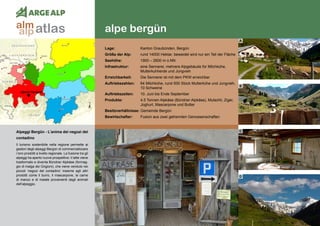 122
alpe bergün
alpen bergün
Alpeggi Bergün - L’anima dei negozi del
contadino
Il turismo sostenibile nella regione permette ai
gestori degli alpeggi Bergün di commercializzare
i loro prodotti a livello regionale. La fusione tra gli
alpeggi ha aperto nuove prospettive: il latte viene
trasformato e diventa Bündner Alpkäse (formag-
gio di malga dei Grigioni), che viene venduto nei
piccoli ‘negozi del contadino’ insieme agli altri
prodotti come il burro, il mascarpone, la carne
di manzo e di maiale provenienti dagli animali
dell’alpeggio.
Lage:	 Kanton Graubünden, Bergün
Größe der Alp:	 rund 14000 Hektar, beweidet wird nur ein Teil der Fläche
Seehöhe:	 1900 – 2600 m ü.NN
Infrastruktur:	 eine Sennerei, mehrere Alpgebäude für Milchkühe,
	 Mutterkuhherde und Jungvieh
Erreichbarkeit:	 Die Sennerei ist mit dem PKW erreichbar
Auftriebszahlen:	 64 Milchkühe, rund 500 Stück Mutterkühe und Jungvieh,
	 10 Schweine
Auftriebszeiten: 	 10. Juni bis Ende September
Produkte:	 4.5 Tonnen Alpkäse (Bündner Alpkäse), Mutschli, Ziger, 	
	 Joghurt, Mascarpone und Butter
Besitzverhältnisse: Gemeinde Bergün
Bewirtschafter:	 Fusion aus zwei getrennten Genossenschaften
A
B
C
D
atlasalm
alp
 