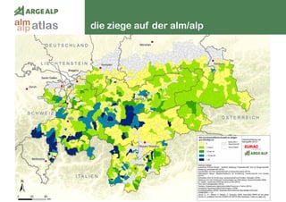 128
die ziege auf der alm/alpatlasalm
alp
 