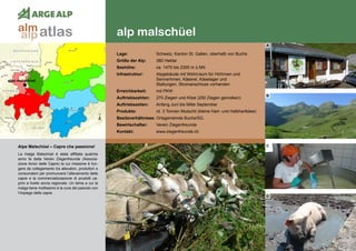 130
alp malschüel
alpe malschüel
Alpe Malschüel – Capre che passione!
La malga Malschüel è stata affittata qualche
anno fa dalla Verein Ziegenfreunde (Associa-
zione Amici delle Capre) la cui missione è fun-
gere da collegamento tra allevatori, produttori e
consumatori per promuovere l’allevamento delle
capre e la commercializzazione di prodotti ca-
prini a livello sovra regionale. Un tema a cui la
malga tiene moltissimo è la cura del pascolo con
l’impiego delle capre.
Lage:	 Schweiz, Kanton St. Gallen, oberhalb von Buchs
Größe der Alp:	 380 Hektar
Seehöhe:	 ca. 1470 bis 2300 m ü.NN
Infrastruktur:	 Alpgebäude mit Wohnraum für HirtInnen und
	 SennerInnen, Käserei, Käselager und
	 Stallungen, Stromanschluss vorhanden
Erreichbarkeit:	 mit PKW
Auftriebszahlen:	 270 Ziegen und Kitze (250 Ziegen gemolken)
Auftriebszeiten: 	 Anfang Juni bis Mitte September
Produkte:	 rd. 3 Tonnen Mutschli (kleine Hart- und Halbhartkäse)
Besitzverhältnisse: Ortsgemeinde Buchs/SG.
Bewirtschafter:	 Verein Ziegenfreunde
Kontakt:	www.ziegenfreunde.ch
A
B
C
D
atlasalm
alp
 