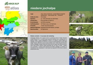 136
niedere jochalpe
niedere jochalpe
Niedere Jochalm – Il successo del marketing
All’alpeggio Niedere Joch vengono tenuti in prevalenza bovini di Tiroler Grauvieh
(Grigia tirolese) (B, F), un’antica razza autoctona austriaca che si distingue per le
abitudini frugali e l’ottima adattabilità al terreno e al pascolo, dunque ideale per
l’alpeggio. Una macelleria di Innsbruck si occupa di commercializzare la carne della
malga. Tuttavia, affinché la carne si possa vendere come ‘Tiroler Grauvieh Almochs’
(manzo d’alpeggio di grigia tirolese) gli animali devono essere stati allevati secondo
criteri molto precisi: possono essere alimentati solo con fieno e cereali - l’insilato
non è permesso - e devono avere trascorso due estati in alpeggio. La vendita e la
macellazione sono disciplinate in modo severo per garantire una fornitura costante
durante tutto l‘anno.
Lage:	 Tirol, Gries am Brenner, Landschaftsschutzgebiet
	 Nößlachjoch - Obernberger See - Tribulaune
Größe der Alm:	 700 Hektar
Seehöhe:	 ca. 1700 (Almhütte) bis 2200 Meter
Infrastruktur:	 Eine Almhütte mit Stall (A)
Erreichbarkeit:	 mit PKW erreichbar
Auftriebszahlen:	 127 Stück Jung- und Galtrinder
Produkte:	 „Tiroler Grauvieh Almochs“
Besitzverhältnisse: Agrargemeinschaft Niedere Jochalpe
Bewirtschafter:	 ist Eigentümer
A
B
C
D
atlasalm
alp
 