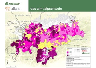138
das alm-/alpschweinatlasalm
alp
 