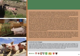 139
(A) die bevölkerungsentwicklung
Schweine gehören zu den ältesten Nutztieren. Bereits im 8. Jahrtausend vor Christus wurde das Schwein in Asien domestiziert, von wo
es auch zu uns in den Alpenraum kam. Sie waren bereits im Mittelalter beliebte Fleischlieferanten, es wurden aber auch viele andere
Bestandteile wie das Bindegewebe, Fettgewebe und die Sehnen verwendet. Häufig wurden die Wildschwein-ähnlichen Hausschweine
in Wälder getrieben, wo sie sich von Eicheln und Bucheckern ernährten. Im 17. und 18. Jahrhundert führten Nahrungsengpässe durch
den 30-jährigen Krieg, Seuchen und die Überweidung von Waldweiden zur Abnahme der Schweinebestände.
Schweine gewannen im Alpenraum durch die zunehmende Milcherzeugung und -verarbeitung an Bedeutung. Daher ist es auch nicht
überraschend, dass seit dem Mittelalter bis Mitte des vergangenen Jahrhunderts fast überall Schweine gehalten wurden. Futtergrund-
lage waren zu der Zeit vor allem Kartoffeln und etwas Getreide. Diese sehr aufwendige Kartoffelmast ließ große Bestände nicht zu.
Betriebe, die auch Milch verarbeiteten, konnten auf ein weiteres Futtermittel zurückgreifen: die Molke. Daher ist es nicht verwunder-
lich, dass auch auf Almen/Alpen Schweine gehalten wurden. Auf vielen Almen/Alpen wurde nämlich gemolken und gesennt (Karte
Seite 117). Die Schweine kamen daher gemeinsam mit dem Milchvieh auf die Alm/Alp, wo sie dann mit der anfallenden Molke bei der
Käseerzeugung gemästet wurden. Wie die gegenüberliegende Karte zeigt, wurden im gesamten Arge Alp-Gebiet Schweine gealpt.
Pro Alm/Alp liefen im Durchschnitt drei Schweine in eigens abgezäunten Flächen frei herum. Somit war die Schweinehaltung auf den
Sennalmen/-alpen ein traditioneller Bestandteil der Alm-/Alpwirtschaft. Im Laufe des vergangenen Jahrhunderts hat sich die Schweine-
haltung gänzlich verändert. Heute werden Schweine meist in modernen Mastbetrieben auf der Basis von zugekauften Futtermitteln
gehalten. Damit kam es zu einer Entkoppelung der Schweinehaltung von der landwirtschaftlichen Flächenproduktion. Ein Schweine-
mastbetrieb kann heute 1000e Schweine ohne eigenes Grundfutter halten. Dies und die Abnahme der Melkalmen/-alpen führten daher
zu einem Rückgang der Alm-/Alpschweinehaltung.
Heute gewinnt die Schweinehaltung in einigen Alm-/Alpgebieten wieder etwas an Bedeutung. So wurde diese Tradition in Tirol und
Vorarlberg, aber auch in der Schweiz neu belebt. Die Fütterung erfolgt ganz nach der alten Tradition mit almeigener Molke. Zusätzlich
wird Getreide zugefüttert. Das damit nur saisonal verfügbare Fleisch wird unter dem Begriff „Alp- oder Almschwein“ vermarktet und
erzielt gute Verkaufspreise. Isst man heute etwa „Ländle Alpschwein“ (C), so ist garantiert, dass neben den üblichen gesetzlichen
Anforderungen die Ferkel aus Österreich stammen, die Schweine einen Auslauf haben und entsprechende Kriterien in der Fütterung
eingehalten werden müssen. Die teilnehmenden Almen/Alpen werden zudem ständig beraten, aber auch kontrolliert.
La storia del suino d’alpeggio
In molte malghe dedite all’attività casearia era consuetudine, sin dal Medioevo, tenere anche i maiali: salivano all’alpeggio con le
vacche da latte e venivano ingrassati con il siero che avanzava dalla produzione del formaggio. Come mostra la cartina a fianco, ogni
malga aveva mediamente tre maiali. Tuttavia, nel secolo scorso le moderne tecniche di allevamento dei suini e la diminuzione delle
malghe che producono formaggio hanno portato a un declino della pratica di tenere i maiali in malga. Oggi, grazie alla commercializ-
zazione del ‘suino d’alpeggiò, la tradizione sembra riacquistare un po’ di importanza in alcune aree.
A
B
C
 