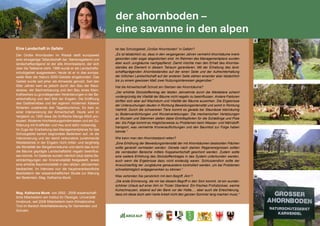 145
Eine Landschaft in Gefahr
Der Große Ahornboden im Risstal stellt europaweit
eine einzigartige Tallandschaft dar. Namensgebend und
landschaftsprägend ist der alte Ahornbestand, der sich
über die Talebene zieht. 1989 wurde er als Landschafts-
schutzgebiet ausgewiesen; heute ist er in das europa-
weite Netz der Natura 2000-Gebiete eingebunden. Das
Gebiet wurde seit jeher als Almweide genutzt. Seit den
50er Jahren kam es jedoch durch den Bau der Maut-
strasse, der Bachverbauung und den Bau eines Klein-
kraftwerkes zu grundlegenden Veränderungen in der Be-
wirtschaftung und dem Bild der Engalm. Die Eröffnung
des Gastbetriebes und der eigenen modernen Käserei
förderten zusehends den Tagestourismus. Es kam zu
einer Intensivierung der Almwirtschaft. Heute wird im
Vergleich zu 1950 etwa die fünffache Menge Milch pro-
duziert. Moderne Hochleistungsrinderrassen und ein Zu-
fütterung mit Kraftfutter und Heu sind dafür notwendig.
Im Zuge der Erarbeitung des Managementplanes für das
Schutzgebiet kamen begründete Bedenken auf, ob die
Intensivierung und der damit verbundene zunehmende
Weidebetrieb in der Engalm nicht mittel- und langfristig
die Mortalität der Bergahornbäume und damit das durch
die Bäume geprägte Landschaftsbild negativ beeinflus-
sen könnte. Im Gelände wurden nämlich lokal starke Be-
einträchtigungen der Kronenvitalität festgestellt, sowie
eine erhöhte Baummortalität in den letzten Jahrzehnten
beobachtet. Im Interview nun die hauptverantwortliche
Bearbeiterin der wissenschaftlichen Studie zur Klärung
der Bedenken, Mag. Katharina Munk.
Mag. Katharina Munk: von 2002 - 2008 wissenschaft-
liche Mitarbeiterin am Institut für Ökologie, Universität
Innsbruck; seit 2008 Mitarbeiterin beim Klimabündnis
Tirol im Bereich Mobilitätsberatung für Gemeinden und
Schulen.
Ist das Schutzgebiet „Großer Ahornboden“ in Gefahr?
„Es ist tatsächlich so, dass in den vergangenen Jahren vermehrt Ahornbäume krank
geworden oder sogar abgestorben sind. Im Rahmen des Managementplans wurden
aber auch Jungbäume nachgepflanzt. Damit möchte man den Erhalt des Ahornbe-
standes als Element in diesem Talraum garantieren. Mit der Erhaltung des land-
schaftsprägenden Ahornbestandes auf der einen Seite und der Aufrechterhaltung
der örtlichen Landwirtschaft auf der anderen Seite stehen einander aber tatsächlich
bis zu einem gewissen Maß zwei Nutzungsinteressen gegenüber.“
Hat die Almwirtschaft Schuld am Sterben der Ahornbäume?
„Der erhöhte Stickstoffeintrag der letzten Jahrzehnte durch die Weidetiere scheint
vordergründig die Vitalität der Bäume nicht negativ zu beeinflussen. Andere Faktoren
dürften sich aber auf Wachstum und Vitalität der Bäume auswirken. Die Ergebnisse
der Untersuchungen deuten in Richtung Beweidungsintensität und somit in Richtung
Viehtritt. Durch die schwereren Tiere kommt es gerade bei Staunässe kleinräumig
zu Bodenverdichtungen und Wurzelverletzungen. Die mechanischen Verletzungen
an Wurzeln und Stämmen stellen dabei Eintrittspforten für die Schädlinge und Pilze
dar. Als Folge kommt es möglicherweise zu Problemen beim Wasser- und Nährstoff-
transport, was vermehrte Kronenauflichtungen und den Baumtod zur Folge haben
könnte.“
Wie kann man den Ahornbestand retten?
„Eine Erhöhung der Beweidungsintensität der mit Ahornbäumen bestockten Flächen
sollte generell vermieden werden. Gerade nach starken Regenereignissen sollten
die vernässten Bereiche mittels Koppelwirtschaft geschont werden. Zudem sollte
eine weitere Erhöhung des Stickstoffeintrages in das System unterbunden werden,
auch wenn die Ergebnisse dazu nicht eindeutig waren. Schlussendlich sollte der
Anwuchserfolg der Jungbäume genauestens kontrolliert werden, um bei Problemen
schnellstmöglich entgegenwirken zu können.“
Was verbinden Sie persönlich mit dem Begriff ‚Alm‘?
„Die erste Erinnerung, die mir bei diesem Begriff in den Sinn kommt, ist ein wunder-
schöner Urlaub auf einer Alm im Tiroler Oberland. Ein frisches Frühstücksei, warme
Kuhschnauzen, sitzend auf der Bank vor der Hütte,… aber auch die Erleichterung,
dass ich diese doch sehr harte Arbeit nicht den ganzen Sommer lang machen muss.“
E
F
G
H
der ahornboden –
eine savanne in den alpen
 