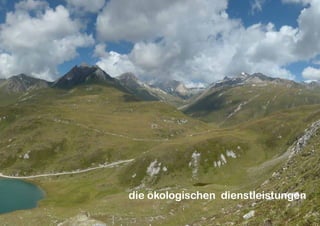 155
die ökologischen dienstleistungen
 