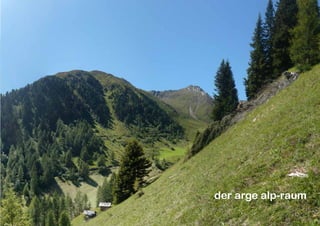 9
der arge alp-raum
 