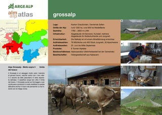 70
grossalp
grossalp
Alpe Grossalp - Molto sopra il	 limite
del bosco
Il Grossalp è un alpeggio molto vario: mandrie
di giovani bovini, vacche nutrici con i loro vitel-
li e vacche da latte pascolano in aree separa-
te dell’alpe. Il caseificio sorge ben oltre il limite
del bosco. Il Grossalp punta sul formaggio e per
continuare a produrlo in modo redditizio a questa
altitudine anche in futuro sta pensando a una fu-
sione con la malga vicina.
Lage:	 Kanton Graubünden, Gemeinde Safien
Größe der Alp:	 rund 1200 ha, rund 800 ha Weidefläche
Seehöhe:	 1780 – 2600 m ü.NN
Infrastruktur:	 Alpgebäude mit Sennerei, Kuhstall, mehrere
	 Alpgebäude für Mutterkuhherde und Jungvieh
Erreichbarkeit:	 Die Melkalp ist mit einem Allradfahrzeug erreichbar
Auftriebszahlen:	 78 Milchkühe und 450 Stück Jungvieh, 20 Alpschweine
Auftriebszeiten: 	 20. Juni bis Mitte September
Produkte:	 6 Tonnen Alpkäse
Besitzverhältnisse: Alpkorperation (Mehrheitsanteil bei der Gemeinde)
Bewirtschafter:	 Hütergesellschaft aus Alpbauern
A
B
C
D
atlasalm
alp
 