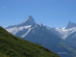 Schreckhorn 