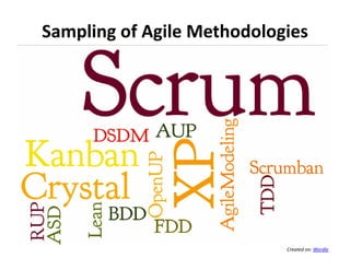 Sampling of Agile Methodologies




                            Created on: Wordle
 