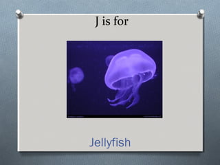 J is for
Jellyfish
 