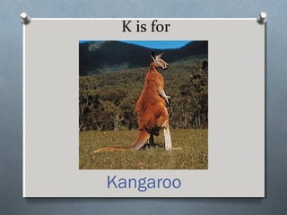K is for
Kangaroo
 
