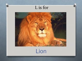 L is for
Lion
 