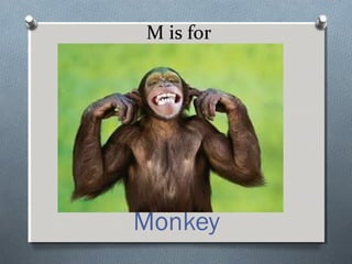 M is for
Monkey
 
