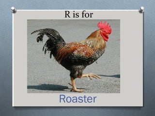R is for
Roaster
 