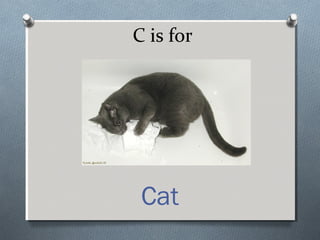C is for
Cat
 