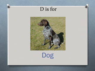 D is for
Dog
 