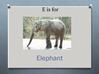 E is for
Elephant
 