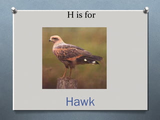 H is for
Hawk
 