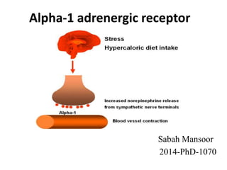 Alpha-1 adrenergic receptor
Sabah Mansoor
2014-PhD-1070
 