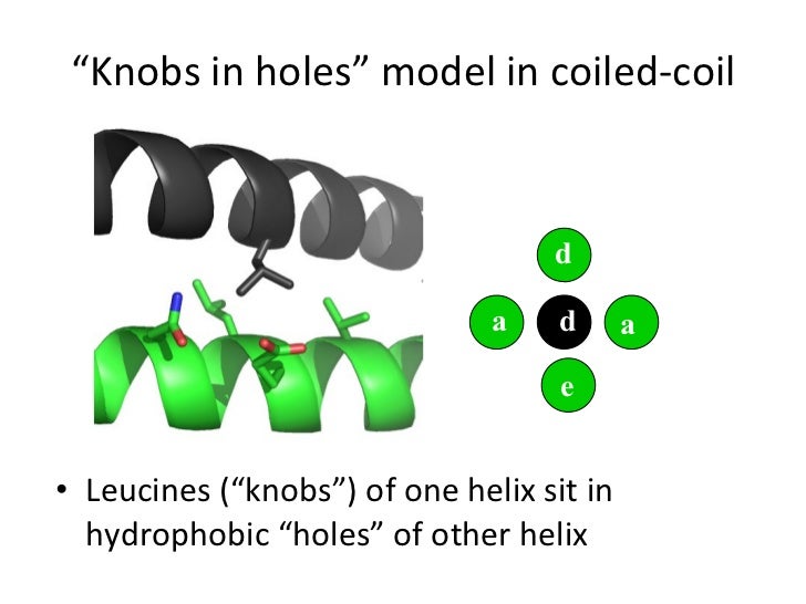 Alpha domain structurs