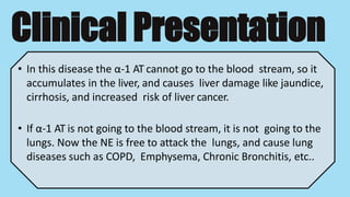 Clinical Presentation
• In this disease the α-1 AT cannot go to the blood stream, so it
accumulates in the liver, and causes liver damage like jaundice,
cirrhosis, and increased risk of liver cancer.
• If α-1 AT is not going to the blood stream, it is not going to the
lungs. Now the NE is free to attack the lungs, and cause lung
diseases such as COPD, Emphysema, Chronic Bronchitis, etc..
 
