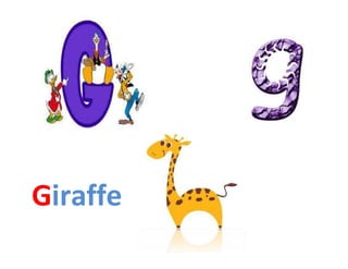 Giraffe
 