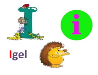Igel
 