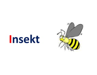 Insekt
 