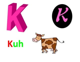 Kuh
 