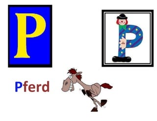 Pferd
 