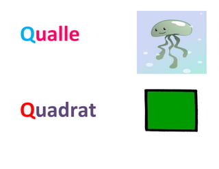 Qualle
Quadrat
 
