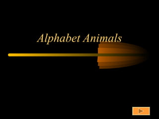 Alphabet Animals 
