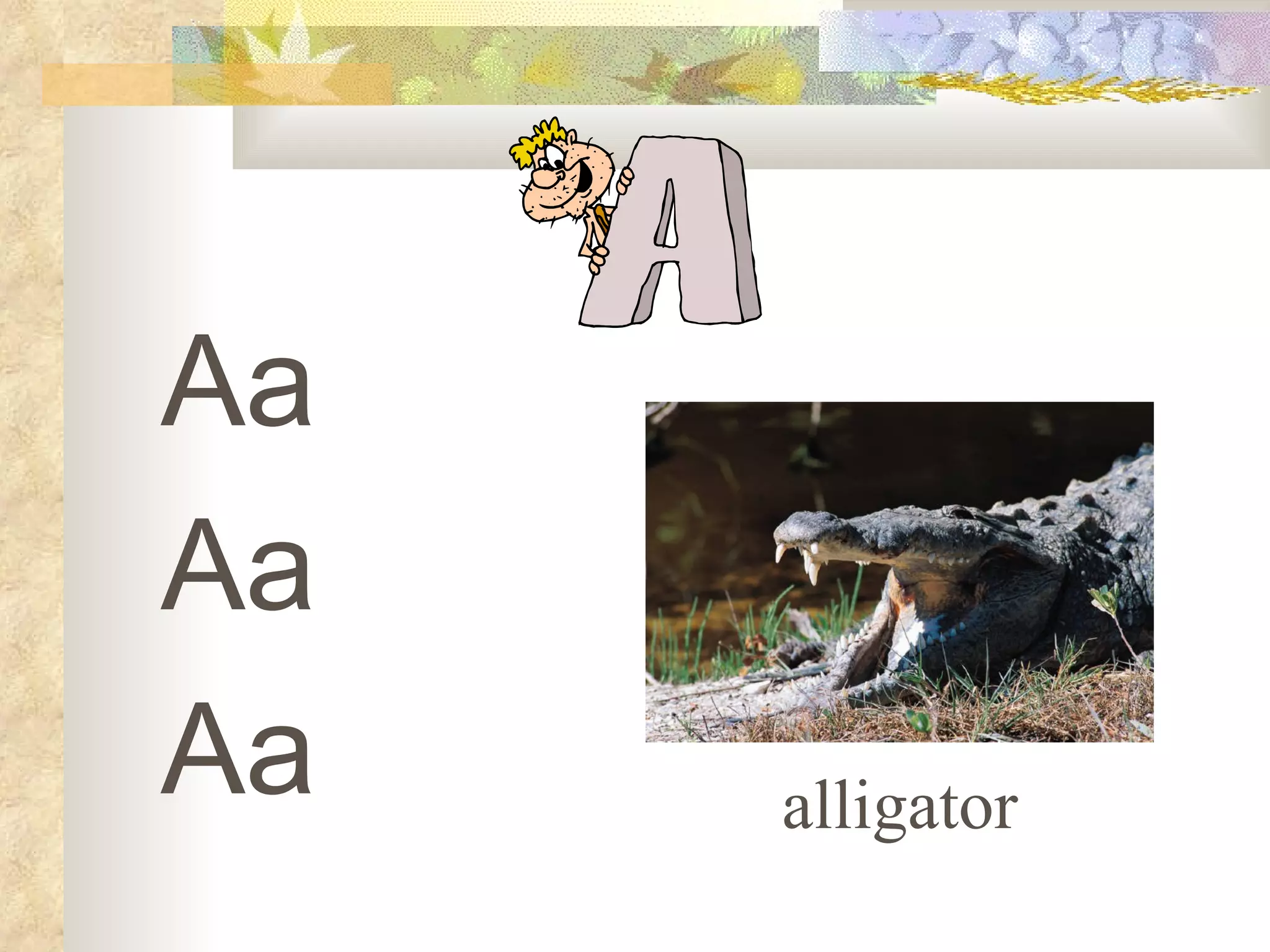 Alphabet | PPT