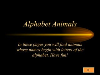 Alphabet Animals

In these pages you will find animals
whose names begin with letters of the
        alphabet. Have fun!
 