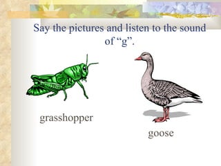 Say the pictures and listen to the sound
                of “g”.




 grasshopper
                          goose
 