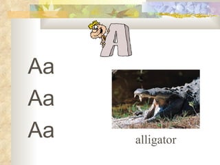 Aa
Aa
Aa   alligator
 