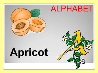 ALPHABET




Apricot
 