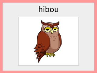 hibou