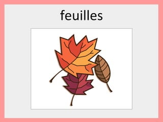feuilles