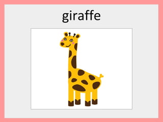 giraffe