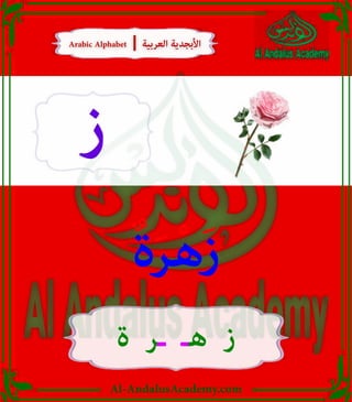 Al-AndalusAcademy.com
‫ز‬
ٌ‫ة‬َ‫ر‬ْ‫ه‬َ‫ز‬
‫ة‬ ‫ـر‬ ‫هـ‬ ‫ز‬
Arabic Alphabet | ‫العربية‬ ‫األبجدية‬
Arabic Alphabet | ‫العربية‬ ‫األبجدية‬
 