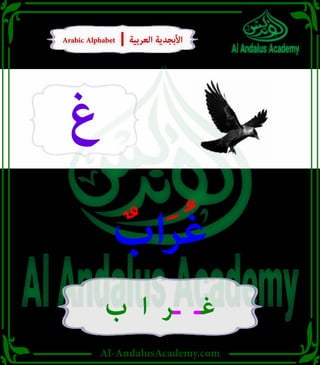 Al-AndalusAcademy.com
ٌ
‫اب‬َ‫ر‬ُ‫غ‬
‫ب‬ ‫ا‬ ‫ـر‬ ‫غـ‬
‫غ‬
Arabic Alphabet | ‫العربية‬ ‫األبجدية‬
Arabic Alphabet | ‫العربية‬ ‫األبجدية‬
 