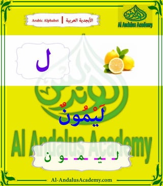 Al-AndalusAcademy.com
‫ل‬
ٌ‫ون‬ُ‫م‬ْ‫ي‬َ‫ل‬
‫ن‬ ‫ـو‬ ‫ـمـ‬ ‫ـيـ‬ ‫لـ‬
Arabic Alphabet | ‫العربية‬ ‫األبجدية‬
Arabic Alphabet | ‫العربية‬ ‫األبجدية‬
 